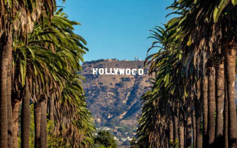 Hollywoood