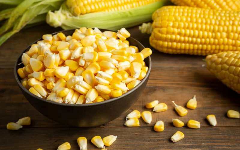 Kesehatan Jagung Karbohidrat Kompleks yang Sehat